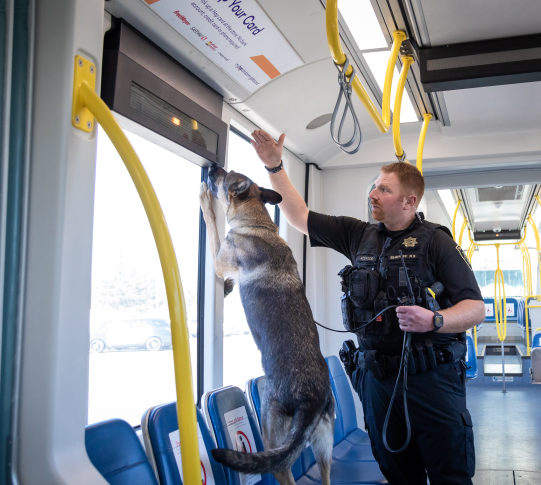 Transit Police K9