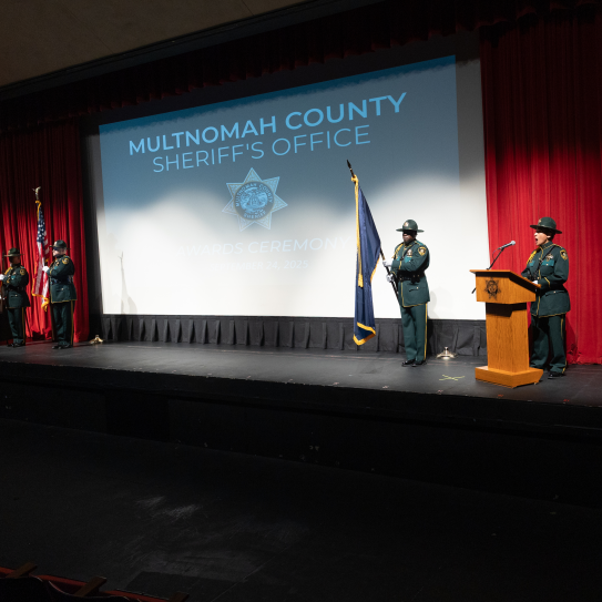 The MCSO Honor Guard presented plaque to each of the night's award winners.