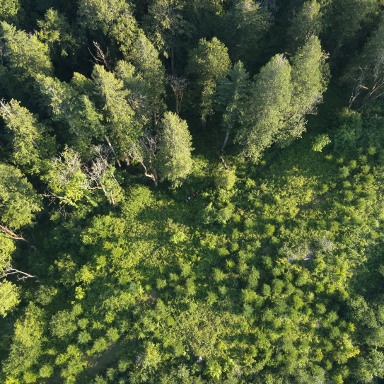 Drone 4 SAR June 23 2026