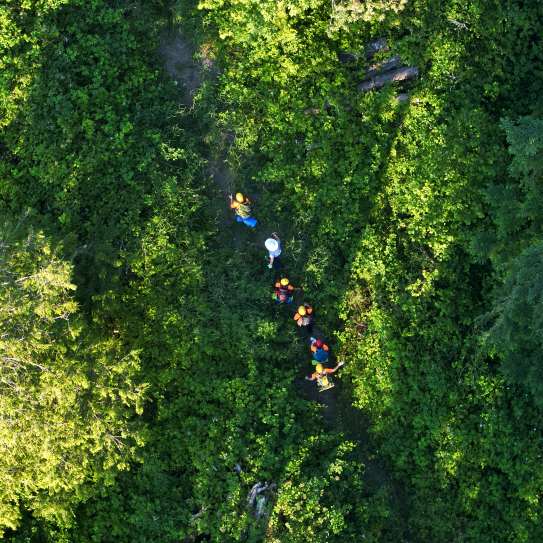 Drone SAR June 23 2026