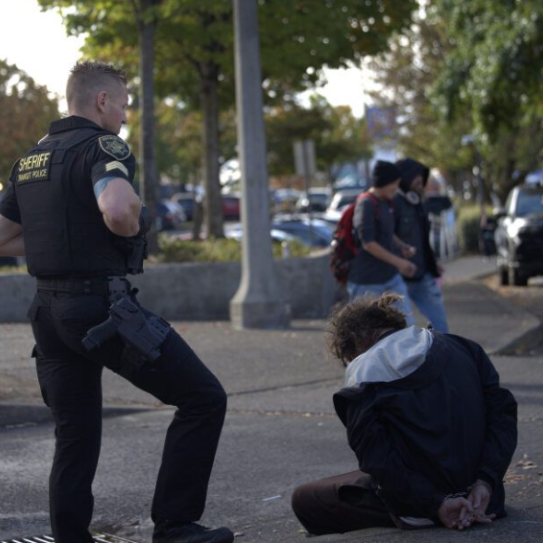 Transit Police during a special safety mission