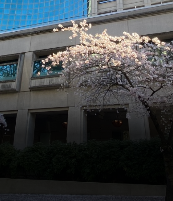 Street view of the Justice Center.