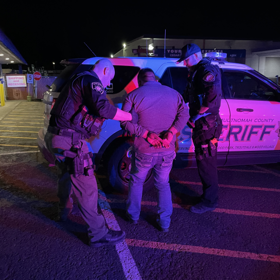 Deputies escort person in handcuffs to patrol vehicle.