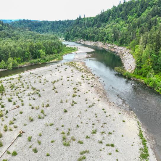 Aerial drone view looking southeast (upstream) at the Sandy River, showing a large sand bar in the foreground. The river channel has shifted to the right (west), hugging a steep forested bank as it flows toward new hazards located near a wooded island in the distance.