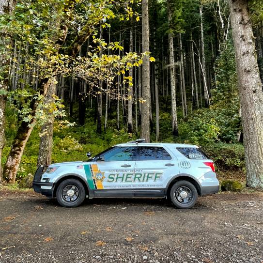 Patrol car of Historic Columbia River highway fall leaves