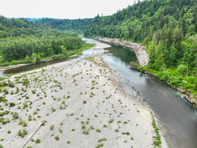 Aerial drone view looking southeast (upstream) at the Sandy River, showing a large sand bar in the foreground. The river channel has shifted to the right (west), hugging a steep forested bank as it flows toward new hazards located near a wooded island in the distance.