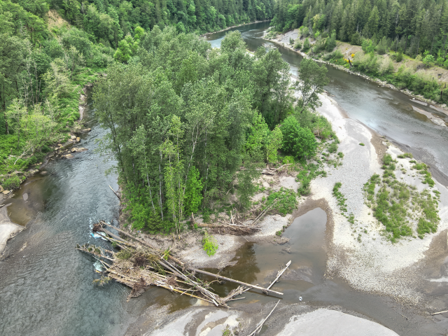 Aerial view of a river diversion around a wooded island, showing a hazardous collection of fallen logs blocking the left channel and a large sandbar on the right.