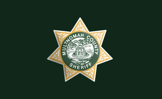 MCSO logo on black background