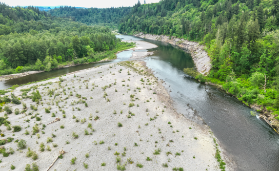 Aerial drone view looking southeast (upstream) at the Sandy River, showing a large sand bar in the foreground. The river channel has shifted to the right (west), hugging a steep forested bank as it flows toward new hazards located near a wooded island in the distance.